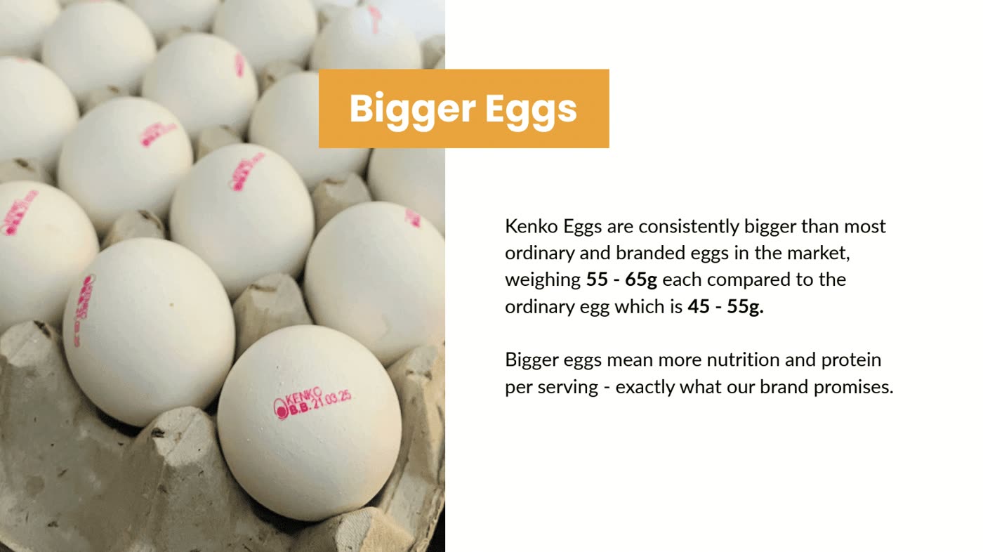 Kenko Eggs Brand Proposition brand books, image 2