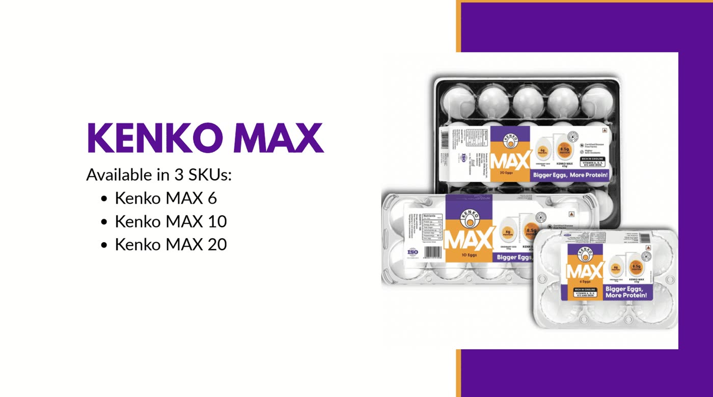 Kenko Eggs Brand Proposition brand books, image 3