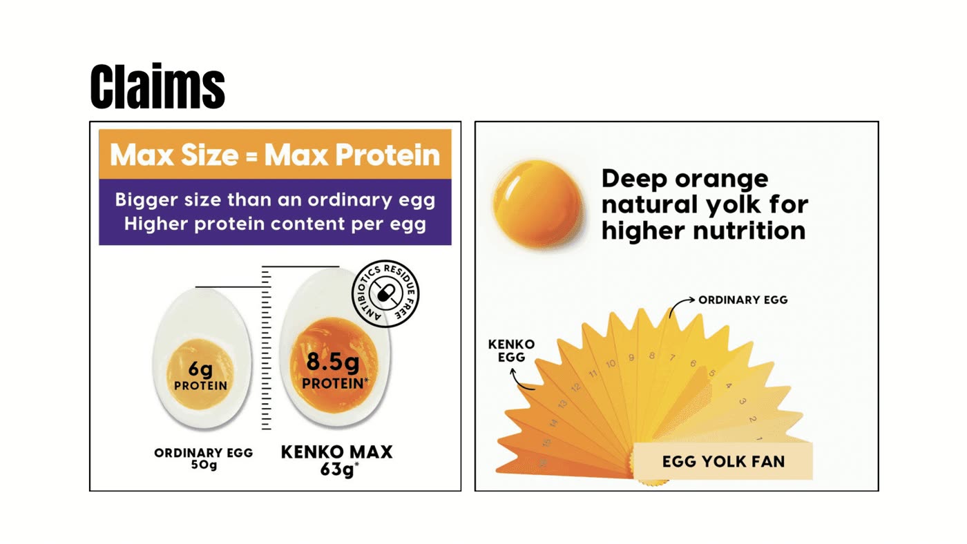 Kenko Eggs Brand Proposition brand books, image 4