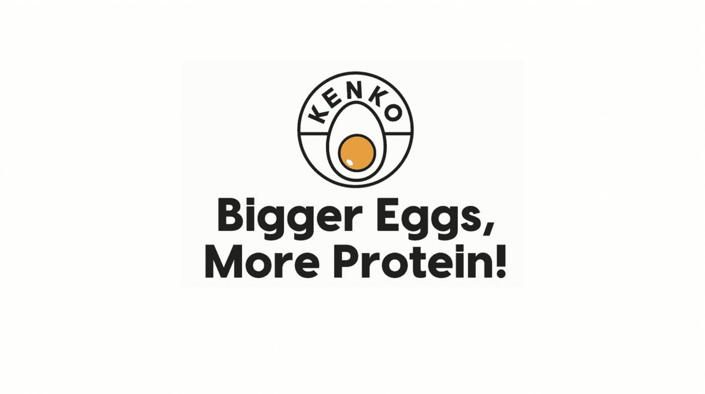 Kenko Eggs Brand Proposition brand books